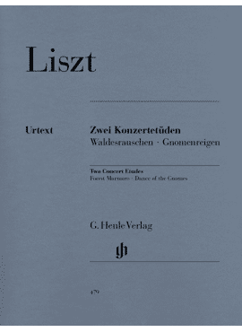 Zwei Konzertetüden